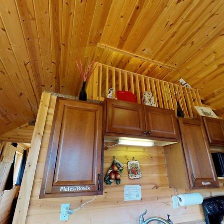 White Pine Cabin By Canyonlands Lodging Монтичело Екстериор снимка