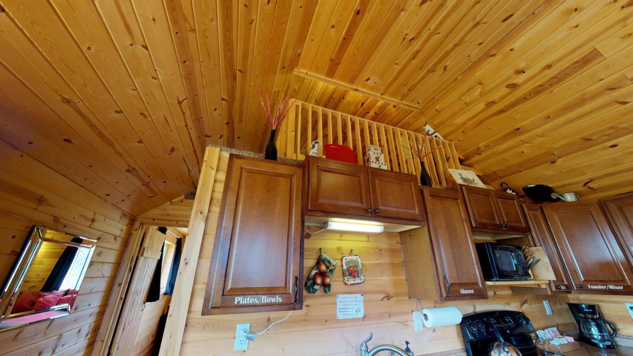 White Pine Cabin By Canyonlands Lodging Монтичело Екстериор снимка