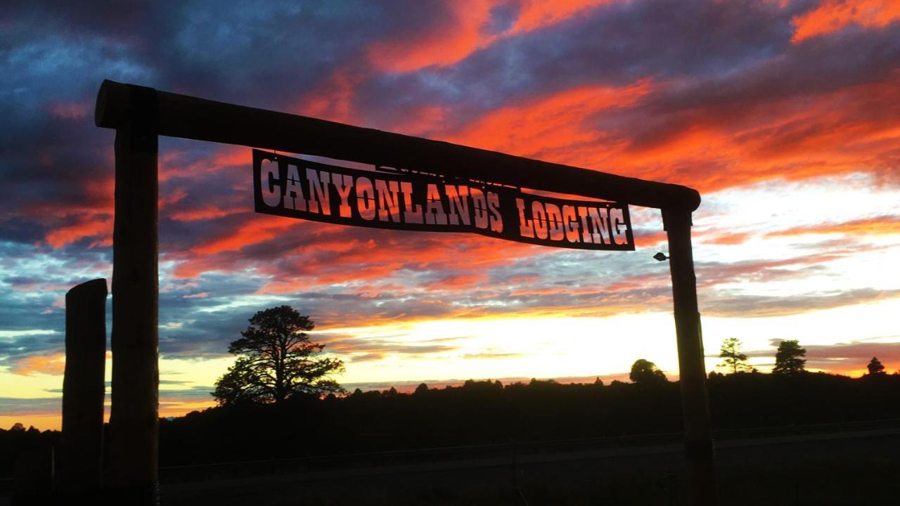 White Pine Cabin By Canyonlands Lodging Монтичело Екстериор снимка